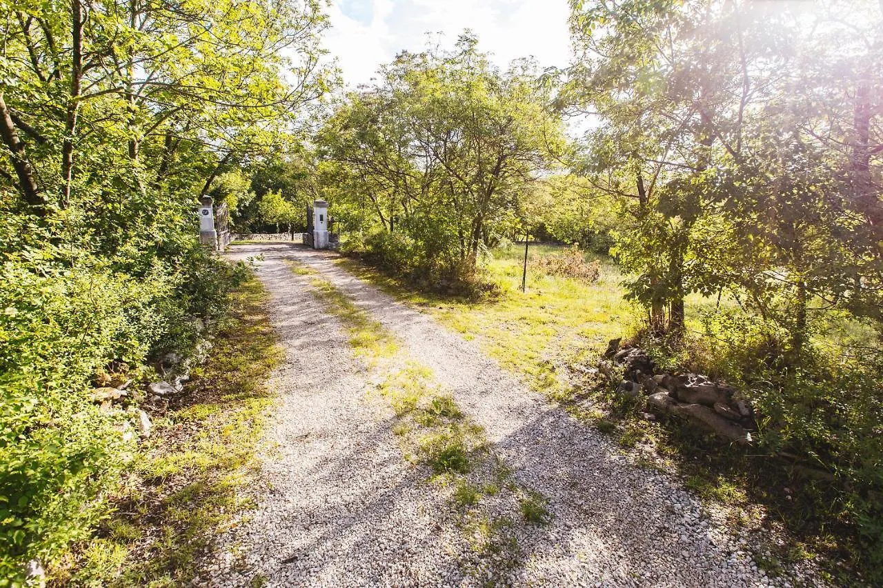 Vigini Vila
